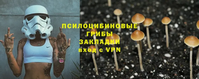 Псилоцибиновые грибы Magic Shrooms  хочу наркоту  Черногорск 